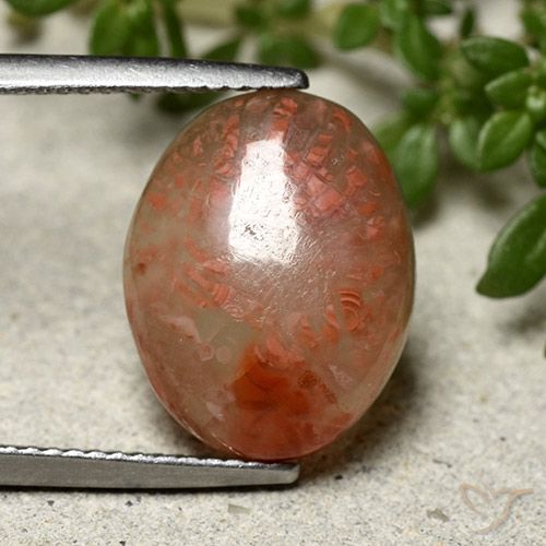 6.66ct Naturel Multicolore Corail, ovale, Translucide