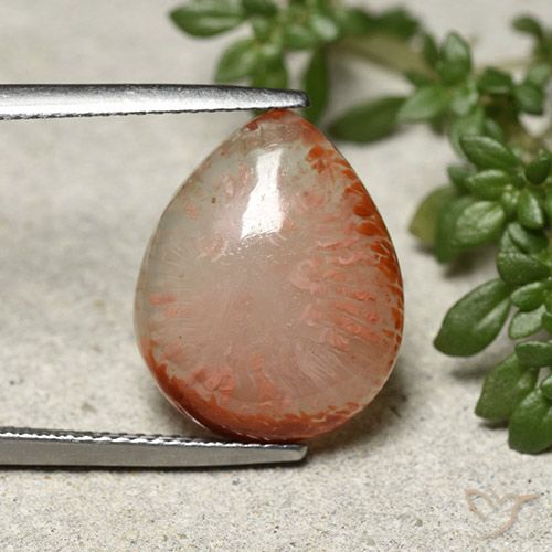 7.31ct Naturel Multicolore Corail, En forme de poire, Translucide