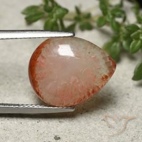 Corail Multicolore naturelle En forme de poire, 7.31 ct, Translucide