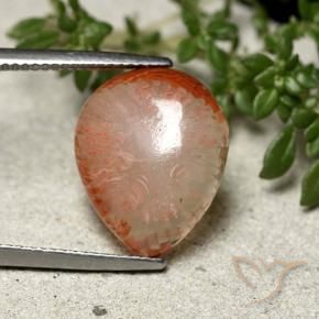 Corail Multicolore naturelle En forme de poire, 7.31 ct, Translucide