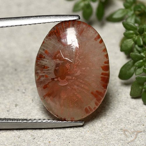 10.04ct Naturel Multicolore Corail, ovale, Translucide