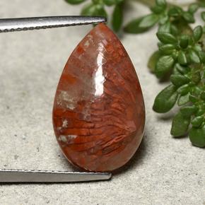 Corail multicolore naturelle en forme de poire, 8,19 ct, opaque