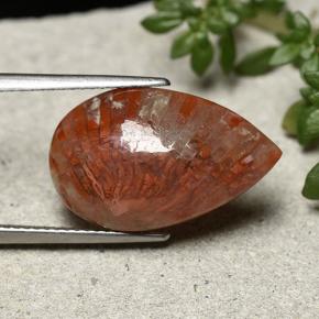 Corail multicolore naturelle en forme de poire, 8,19 ct, opaque