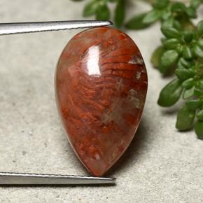 Corail multicolore naturelle en forme de poire, 8,19 ct, opaque