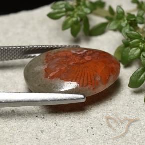 Corail Multicolore naturelle Fantaisie, 8.92 ct, Opaque
