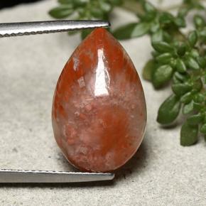 Corail multicolore naturelle en forme de poire, 7,73 ct, opaque