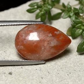 Corail multicolore naturelle en forme de poire, 7,73 ct, opaque