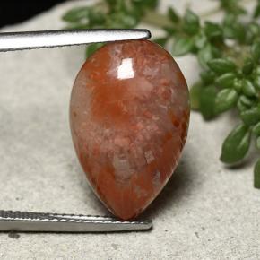 Corail multicolore naturelle en forme de poire, 7,73 ct, opaque