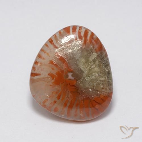 7.59ct Naturel Multicolore Corail, Fantaisie, Translucide
