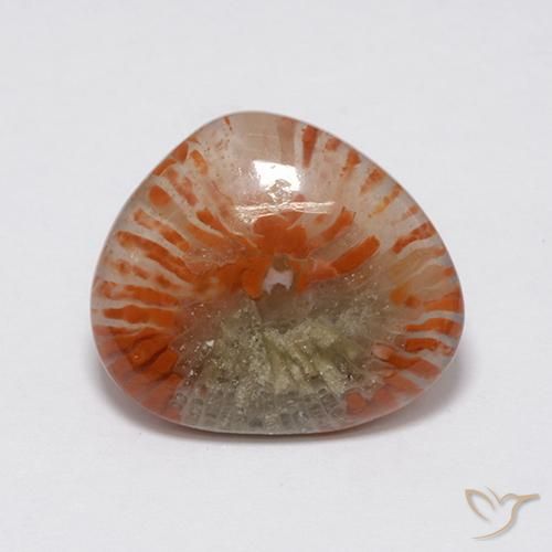 Corail Multicolore naturelle Fantaisie, 7.59 ct, Translucide