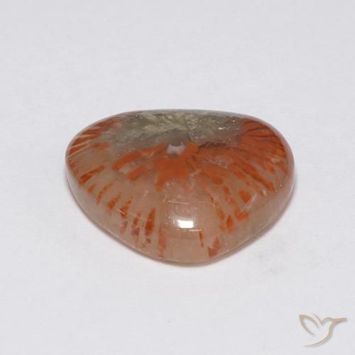 Corail Multicolore naturelle Fantaisie, 7.59 ct, Translucide