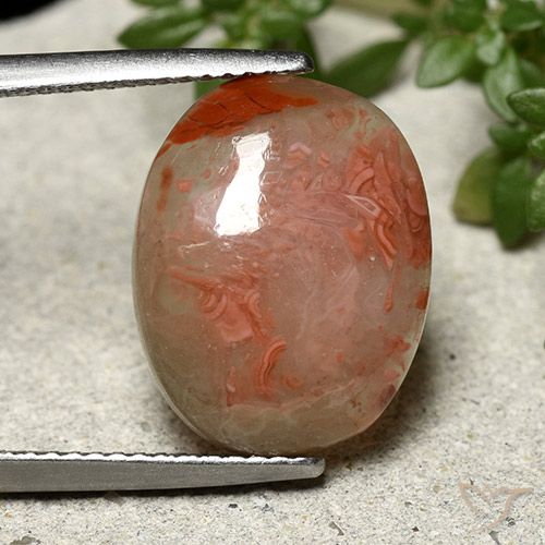 6.86ct Naturel Multicolore Corail, ovale, Translucide