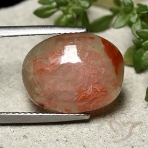 Corail Multicolore naturelle ovale, 6.86 ct, Translucide