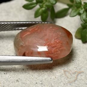 Corail Multicolore naturelle ovale, 6.86 ct, Translucide