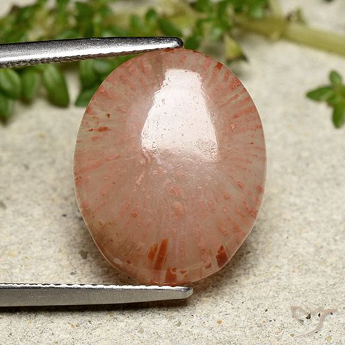 7.55ct Naturel Multicolore Corail, ovale, Translucide