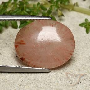 Corail Multicolore naturelle ovale, 7.55 ct, Translucide