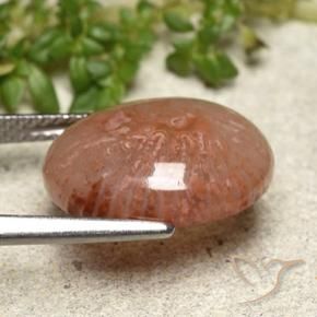 Corail Multicolore naturelle ovale, 6.97 ct, Translucide