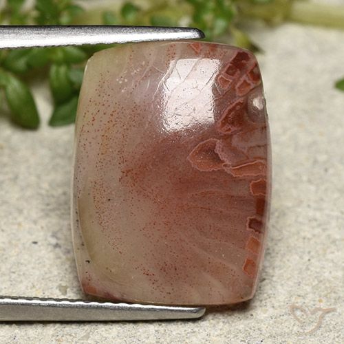 Corail Multicolore naturelle Coupe coussin, 5.47 ct, Translucide