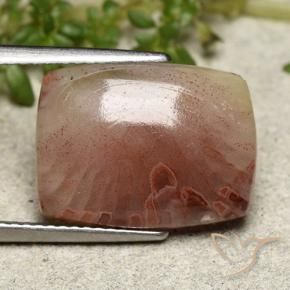 Corail Multicolore naturelle Coupe coussin, 5.47 ct, Translucide