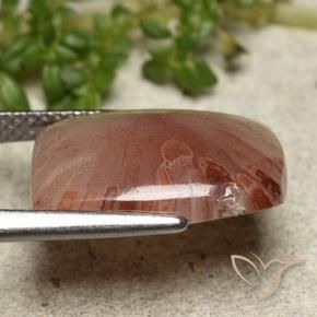 Corail Multicolore naturelle Coupe coussin, 5.47 ct, Translucide