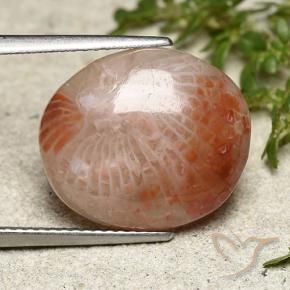 Corail Multicolore naturelle ovale, 7.31 ct, Translucide