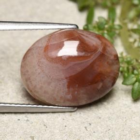 Corail Multicolore naturelle Coupe ovale, 6.86 ct, Translucide