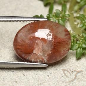 Corail Multicolore naturelle ovale, 5.98 ct, Translucide
