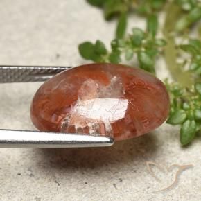 Corail Multicolore naturelle ovale, 5.98 ct, Translucide