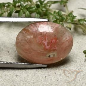 Corail Multicolore naturelle ovale, 7.30 ct, Translucide