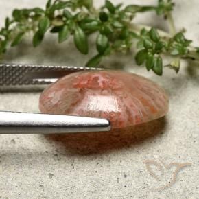 Corail Multicolore naturelle ovale, 7.30 ct, Translucide