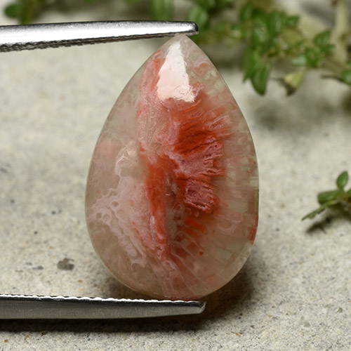 Corail Multicolore naturelle En forme de poire, 5.62 ct, Translucide