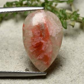 Corail Multicolore naturelle En forme de poire, 5.62 ct, Translucide