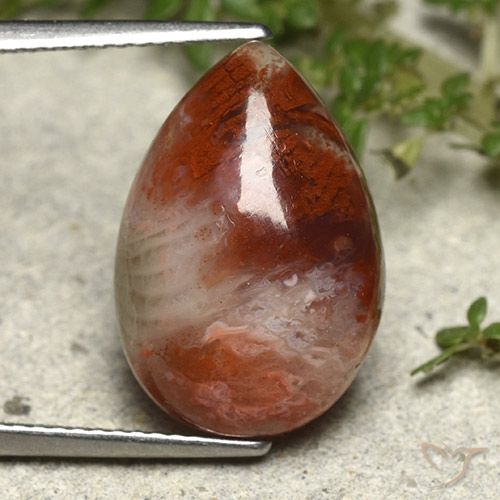 Corail Multicolore naturelle En forme de poire, 7.34 ct, Opaque