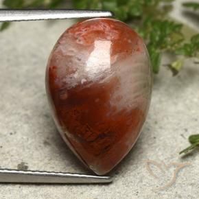 Corail Multicolore naturelle En forme de poire, 7.34 ct, Opaque