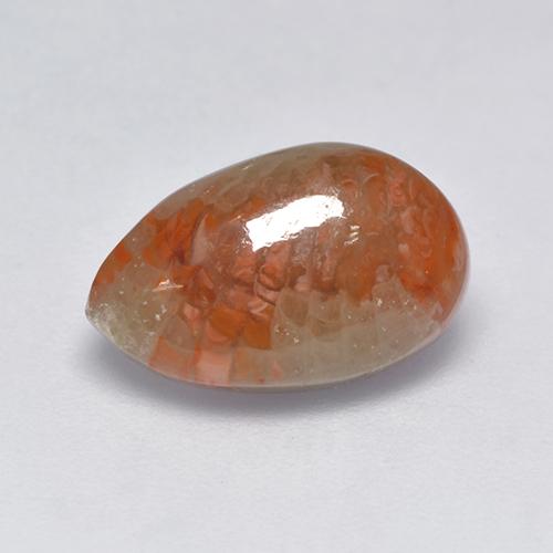 Corail multicolore naturelle en forme de poire, 3,39 ct, translucide