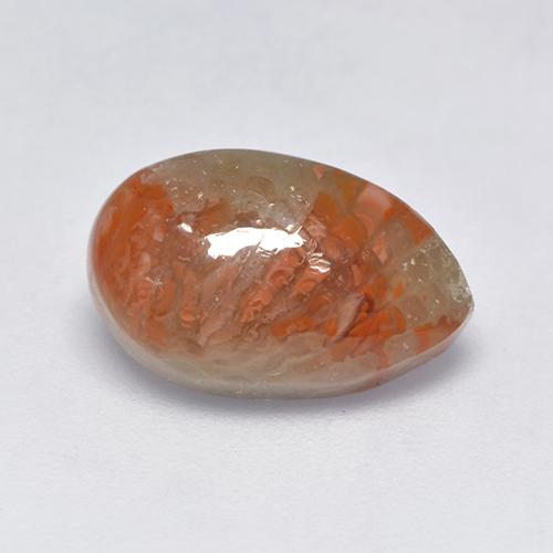 Corail multicolore naturelle en forme de poire, 3,39 ct, translucide
