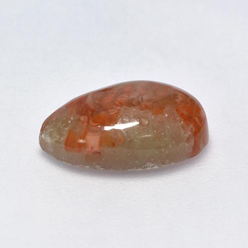 Corail multicolore naturelle en forme de poire, 3,39 ct, translucide