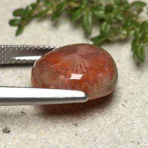 Corail multicolore naturelle forme fantaisie, 7,61 ct, translucide