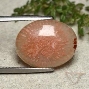 Corail Multicolore naturelle ovale, 8.03 ct, Translucide