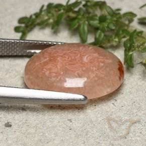 Corail Multicolore naturelle ovale, 8.03 ct, Translucide