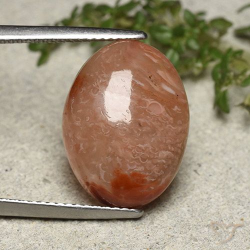10.75ct Naturel Multicolore Corail, ovale, Translucide