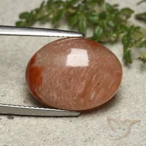 Corail Multicolore naturelle ovale, 10.75 ct, Translucide