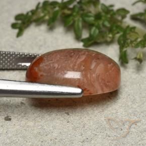 Corail Multicolore naturelle ovale, 10.75 ct, Translucide