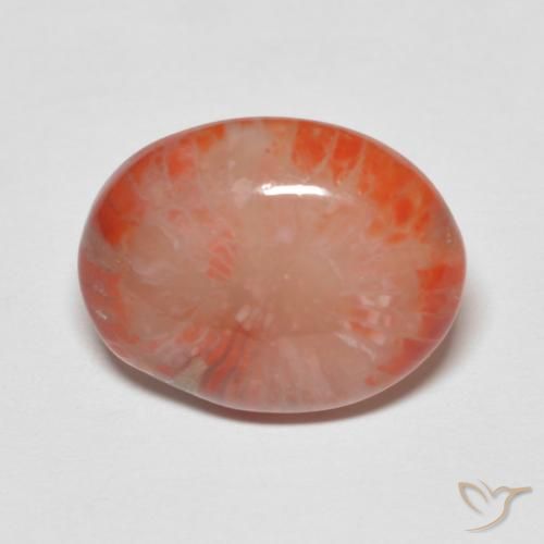 4.60ct Naturel Multicolore Corail, ovale, Translucide