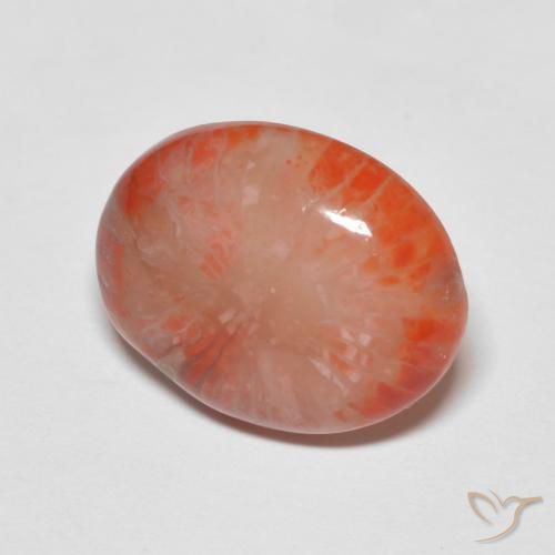 Corail Multicolore naturelle ovale, 4.60 ct, Translucide