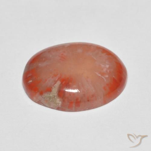Corail Multicolore naturelle ovale, 4.60 ct, Translucide