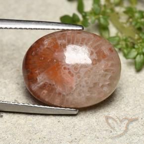 Corail Multicolore naturelle ovale, 10.15 ct, Translucide