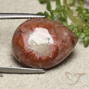 Corail Multicolore naturelle En forme de poire, 11.90 ct, Opaque