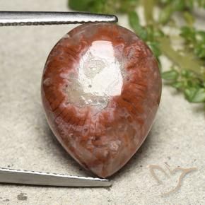Corail Multicolore naturelle En forme de poire, 11.90 ct, Opaque