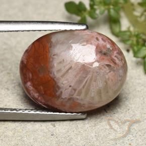 Corail Multicolore naturelle ovale, 8.65 ct, Opaque